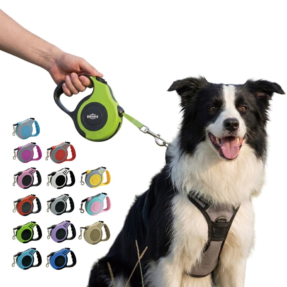 Auto Retracting Pet Leash